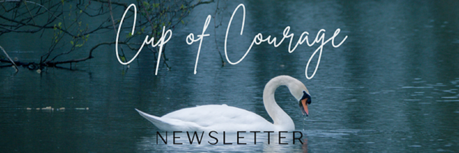 Cup of Courage Newsletter 2