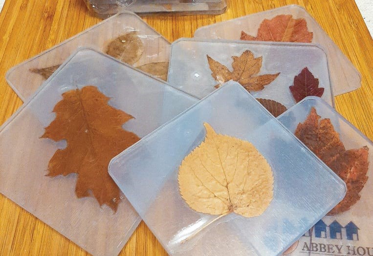 Fall Foliage Coasters